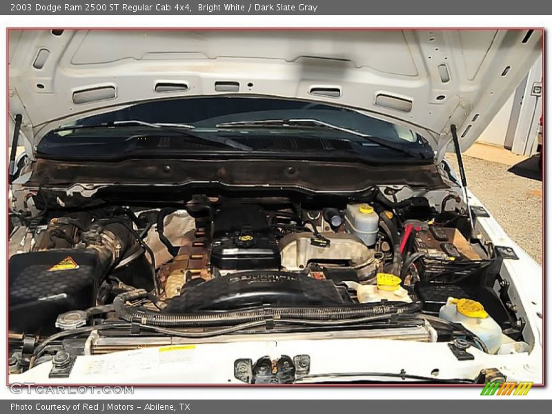 Bright White / Dark Slate Gray 2003 Dodge Ram 2500 ST Regular Cab 4x4
