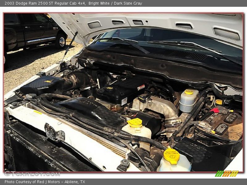 Bright White / Dark Slate Gray 2003 Dodge Ram 2500 ST Regular Cab 4x4
