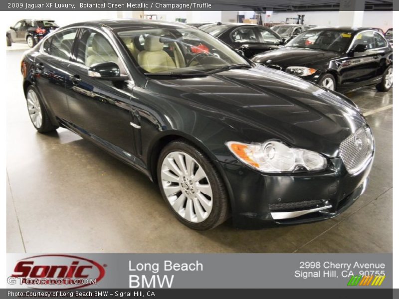 Botanical Green Metallic / Champagne/Truffle 2009 Jaguar XF Luxury