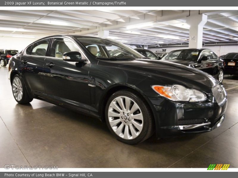 Botanical Green Metallic / Champagne/Truffle 2009 Jaguar XF Luxury