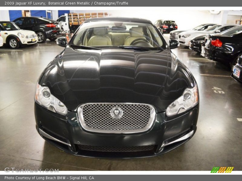 Botanical Green Metallic / Champagne/Truffle 2009 Jaguar XF Luxury