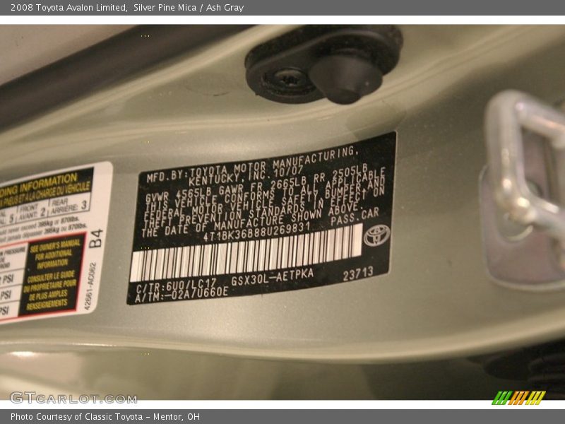 Silver Pine Mica / Ash Gray 2008 Toyota Avalon Limited