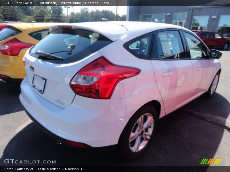 Oxford White / Charcoal Black 2013 Ford Focus SE Hatchback