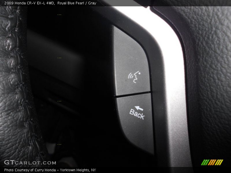 Royal Blue Pearl / Gray 2009 Honda CR-V EX-L 4WD