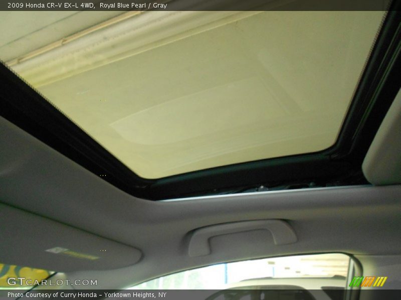 Royal Blue Pearl / Gray 2009 Honda CR-V EX-L 4WD