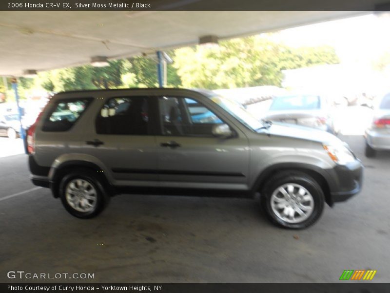 Silver Moss Metallic / Black 2006 Honda CR-V EX