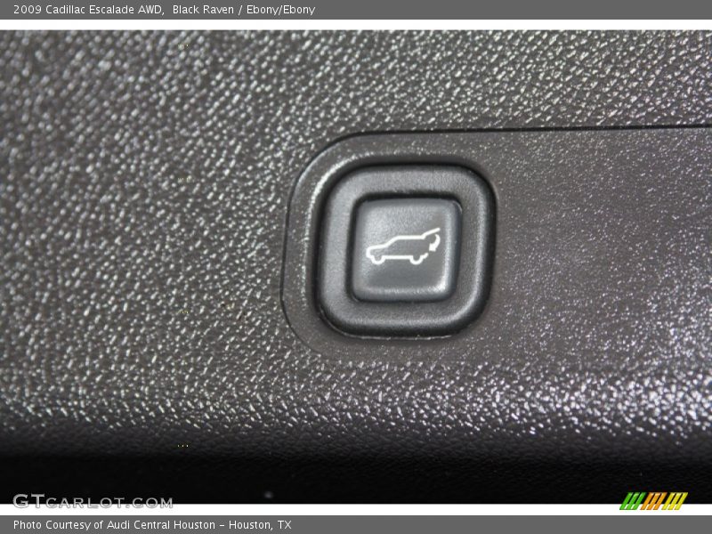 Black Raven / Ebony/Ebony 2009 Cadillac Escalade AWD