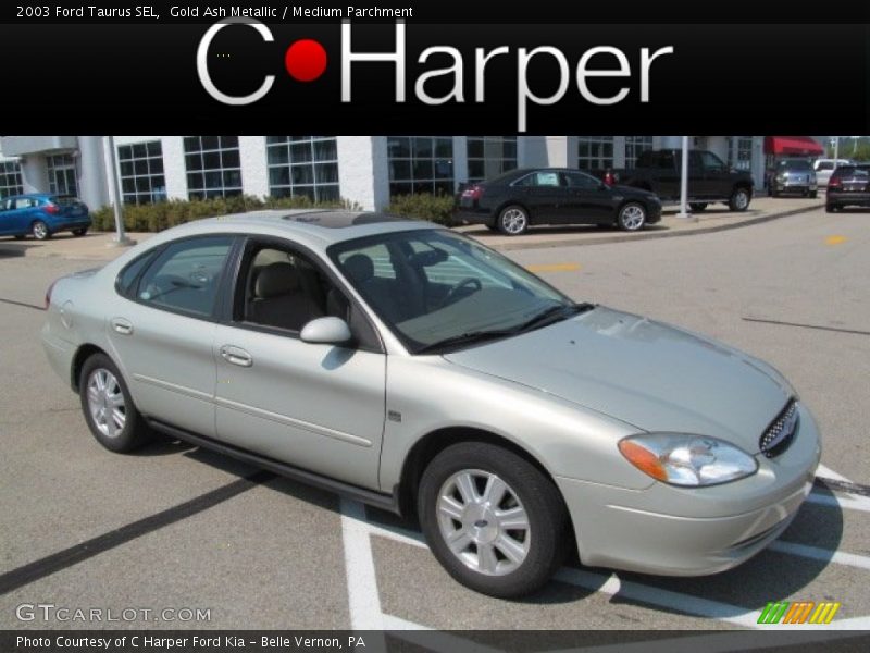 Gold Ash Metallic / Medium Parchment 2003 Ford Taurus SEL