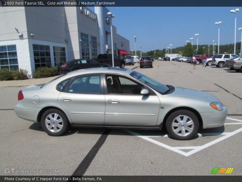  2003 Taurus SEL Gold Ash Metallic