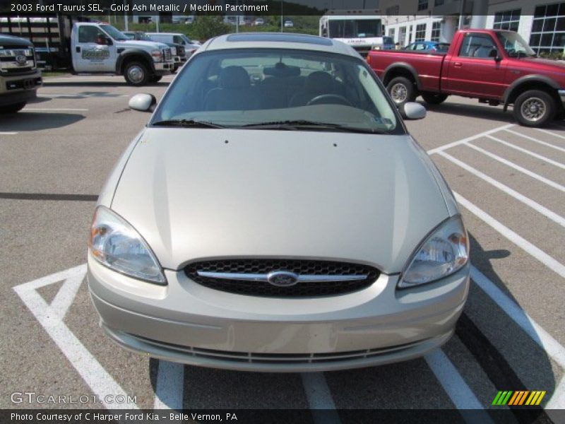 Gold Ash Metallic / Medium Parchment 2003 Ford Taurus SEL