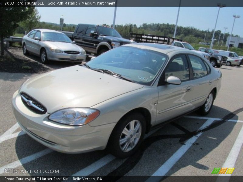 Gold Ash Metallic / Medium Parchment 2003 Ford Taurus SEL