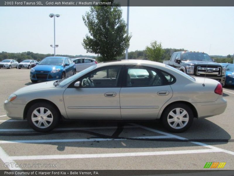 Gold Ash Metallic / Medium Parchment 2003 Ford Taurus SEL