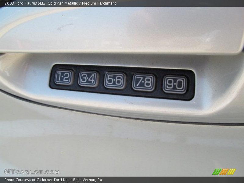 Gold Ash Metallic / Medium Parchment 2003 Ford Taurus SEL