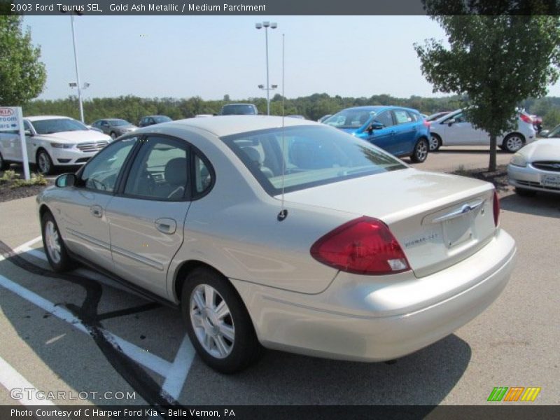 Gold Ash Metallic / Medium Parchment 2003 Ford Taurus SEL
