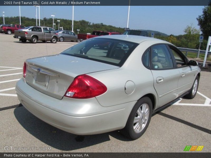  2003 Taurus SEL Gold Ash Metallic