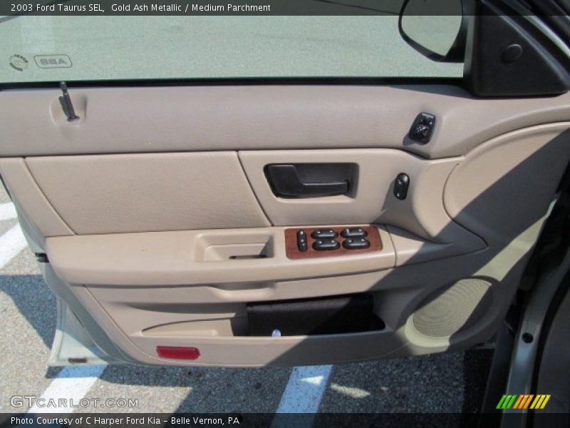 Gold Ash Metallic / Medium Parchment 2003 Ford Taurus SEL