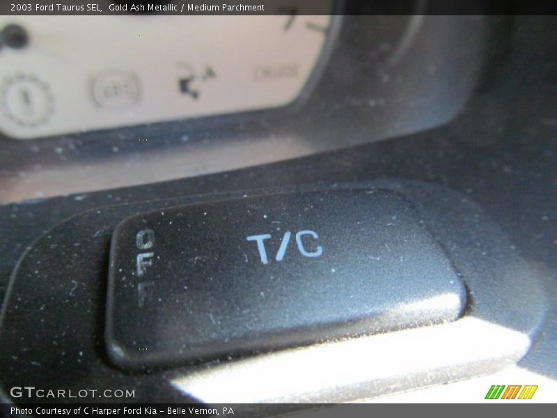 Gold Ash Metallic / Medium Parchment 2003 Ford Taurus SEL