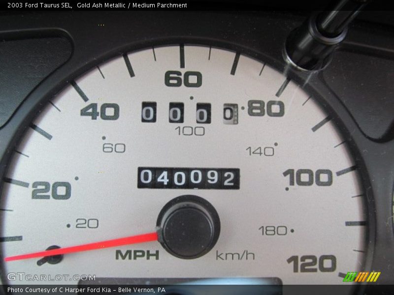 Gold Ash Metallic / Medium Parchment 2003 Ford Taurus SEL