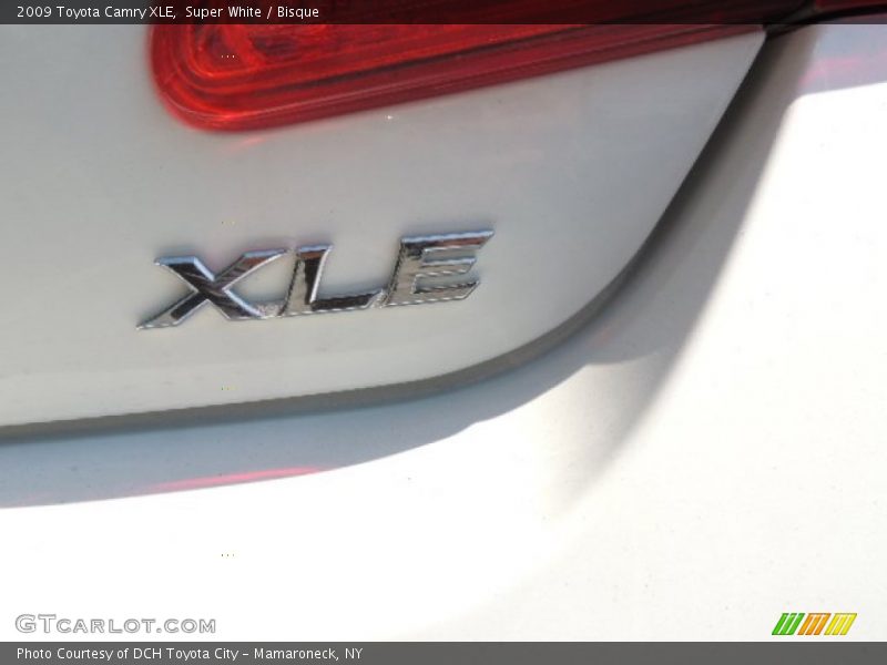 Super White / Bisque 2009 Toyota Camry XLE