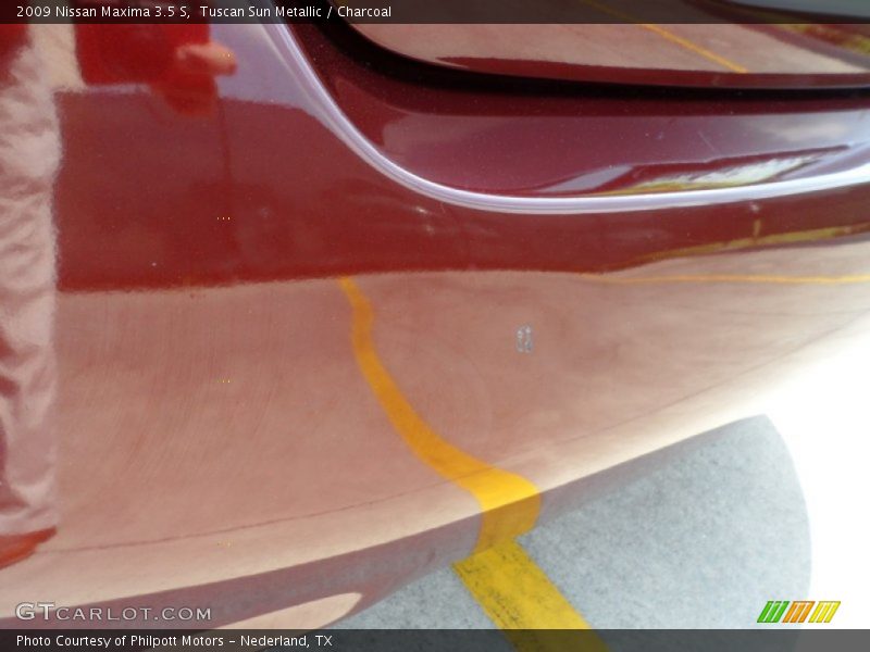 Tuscan Sun Metallic / Charcoal 2009 Nissan Maxima 3.5 S