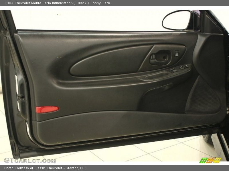 Door Panel of 2004 Monte Carlo Intimidator SS