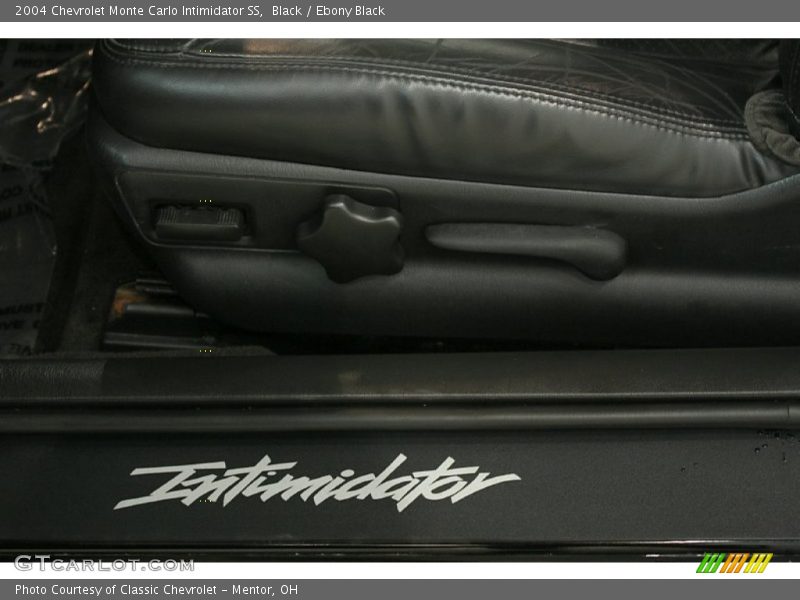Intimidator doorsill - 2004 Chevrolet Monte Carlo Intimidator SS