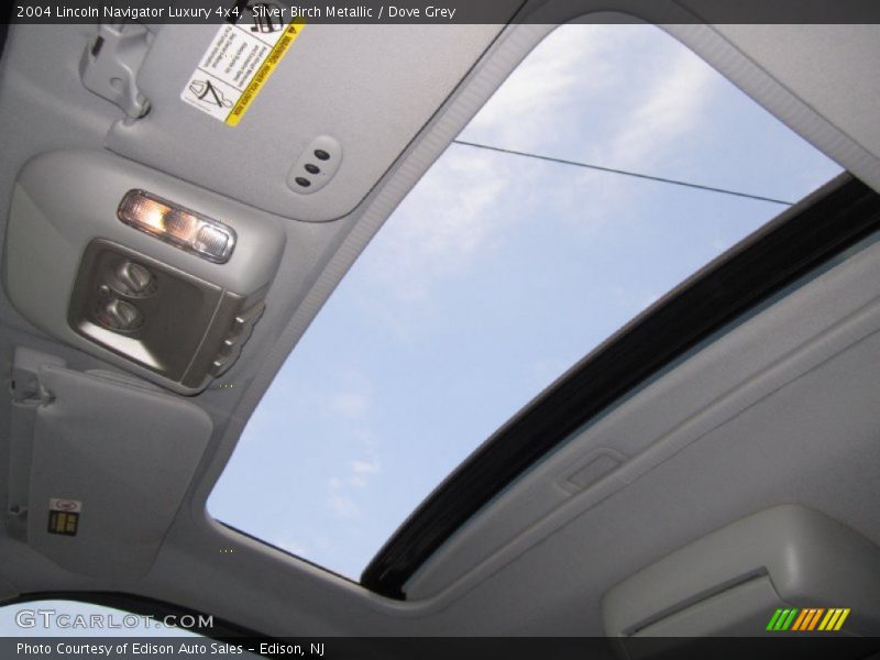 Silver Birch Metallic / Dove Grey 2004 Lincoln Navigator Luxury 4x4