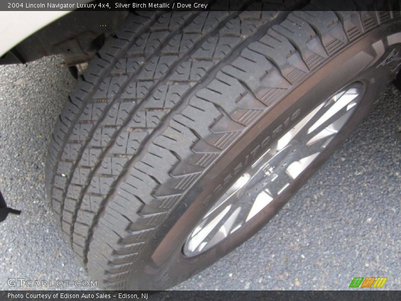 Silver Birch Metallic / Dove Grey 2004 Lincoln Navigator Luxury 4x4