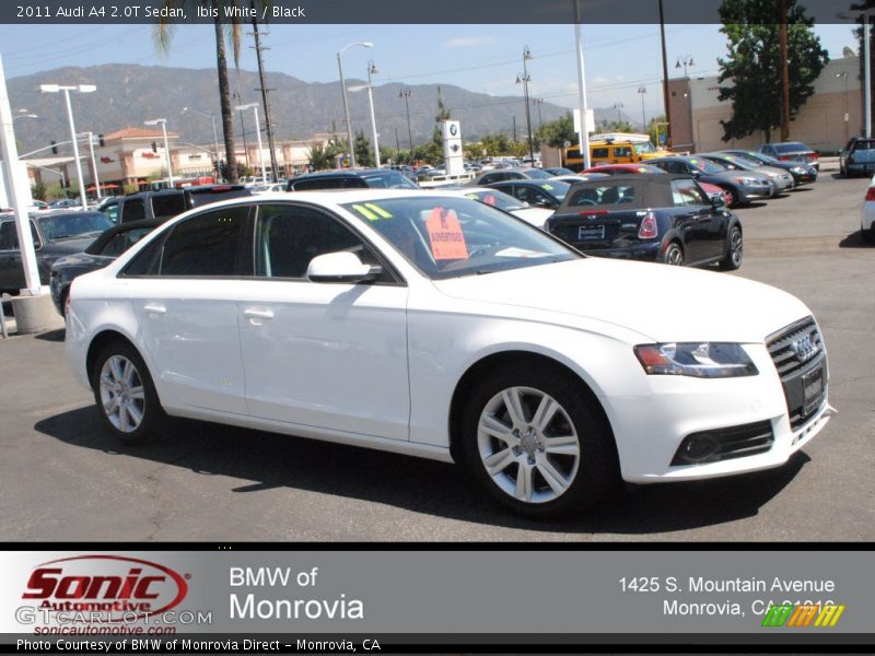 Ibis White / Black 2011 Audi A4 2.0T Sedan