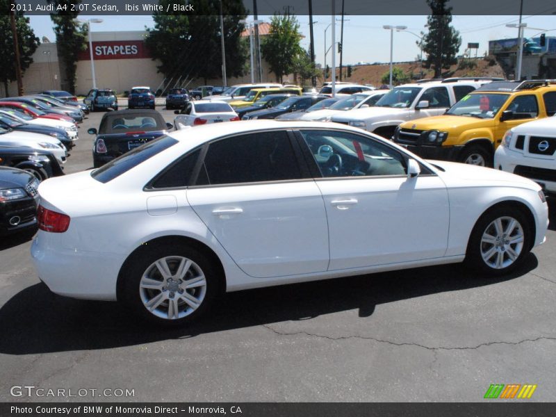 Ibis White / Black 2011 Audi A4 2.0T Sedan
