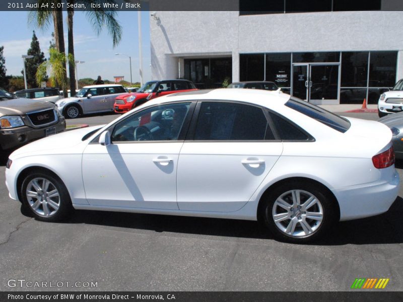 Ibis White / Black 2011 Audi A4 2.0T Sedan
