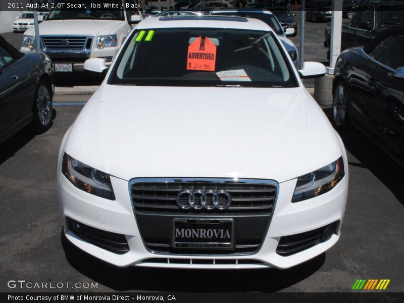 Ibis White / Black 2011 Audi A4 2.0T Sedan