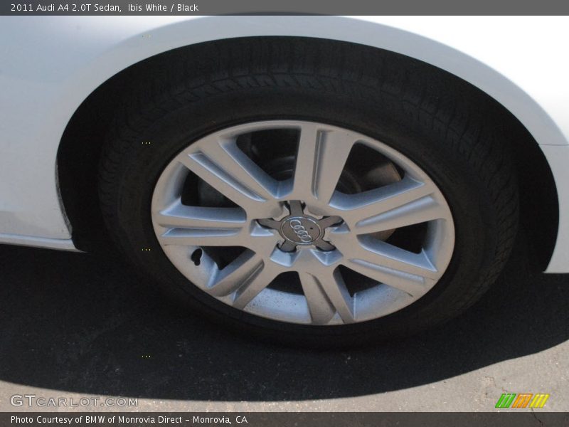 Ibis White / Black 2011 Audi A4 2.0T Sedan