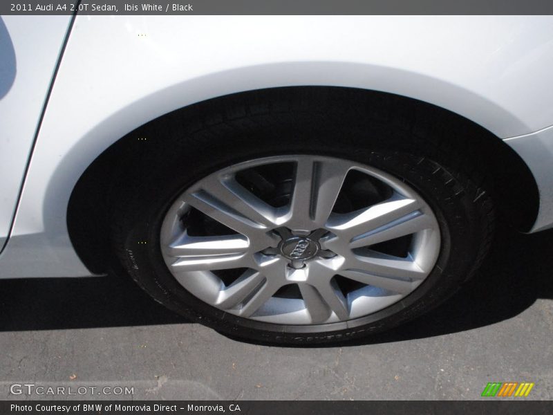 Ibis White / Black 2011 Audi A4 2.0T Sedan