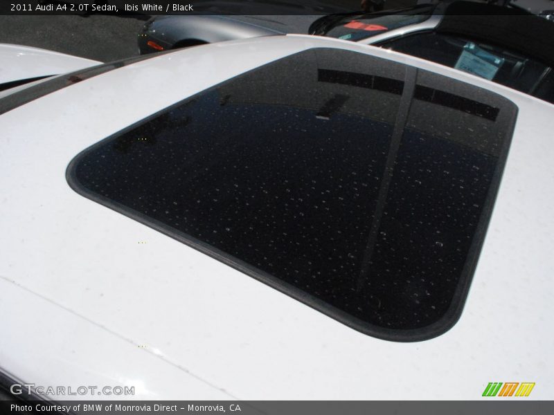 Ibis White / Black 2011 Audi A4 2.0T Sedan