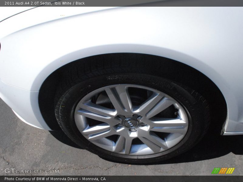 Ibis White / Black 2011 Audi A4 2.0T Sedan