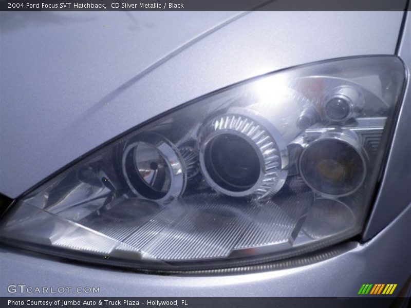 CD Silver Metallic / Black 2004 Ford Focus SVT Hatchback