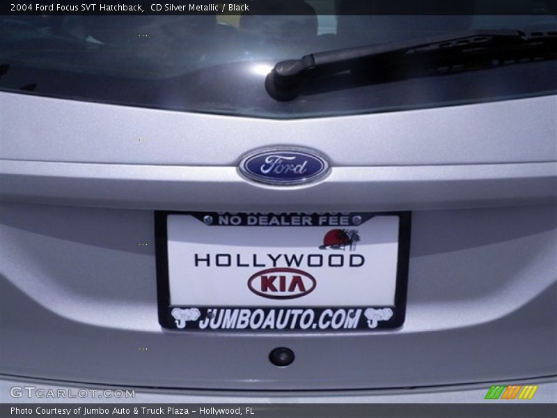 CD Silver Metallic / Black 2004 Ford Focus SVT Hatchback