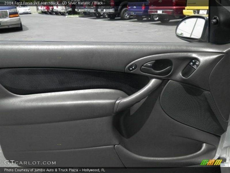 Door Panel of 2004 Focus SVT Hatchback