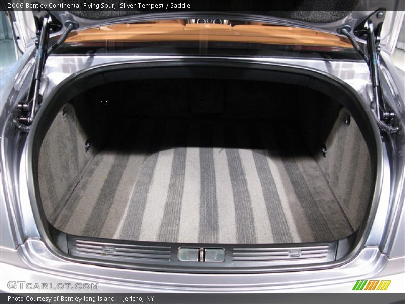 Silver Tempest / Saddle 2006 Bentley Continental Flying Spur