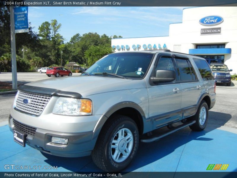 Silver Birch Metallic / Medium Flint Gray 2004 Ford Expedition XLT