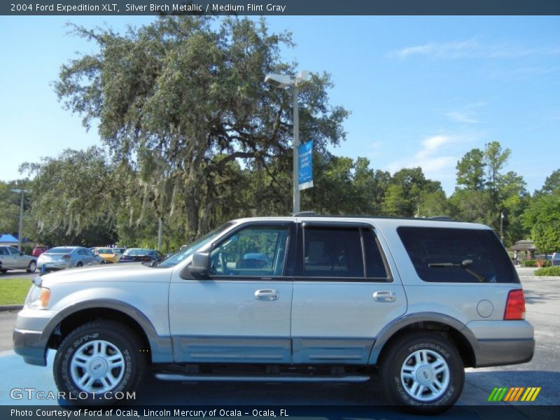 Silver Birch Metallic / Medium Flint Gray 2004 Ford Expedition XLT