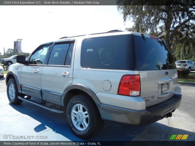 Silver Birch Metallic / Medium Flint Gray 2004 Ford Expedition XLT