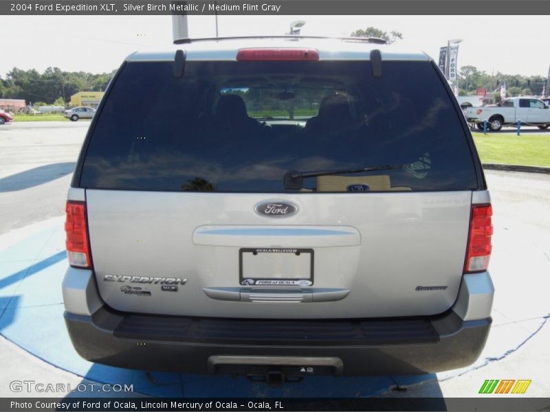 Silver Birch Metallic / Medium Flint Gray 2004 Ford Expedition XLT