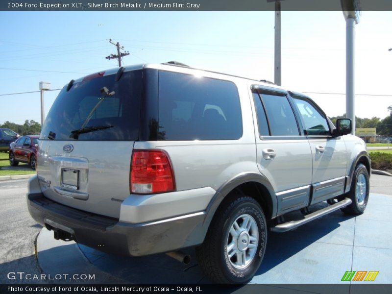 Silver Birch Metallic / Medium Flint Gray 2004 Ford Expedition XLT