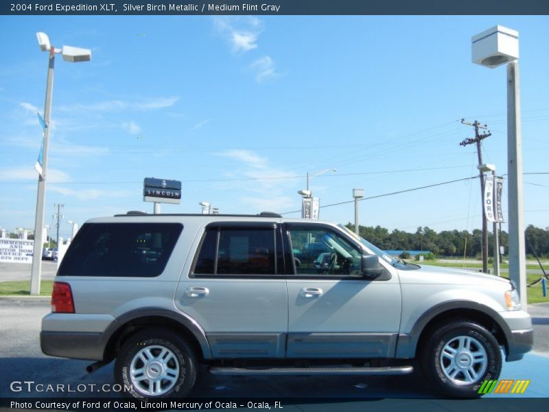 Silver Birch Metallic / Medium Flint Gray 2004 Ford Expedition XLT