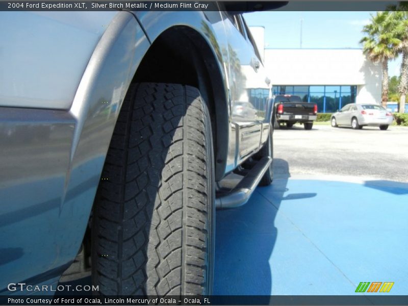 Silver Birch Metallic / Medium Flint Gray 2004 Ford Expedition XLT