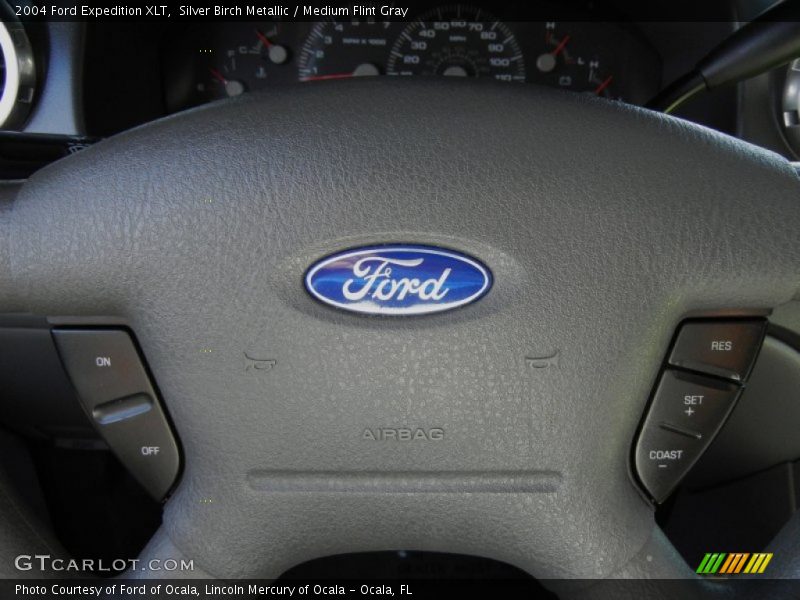 Silver Birch Metallic / Medium Flint Gray 2004 Ford Expedition XLT