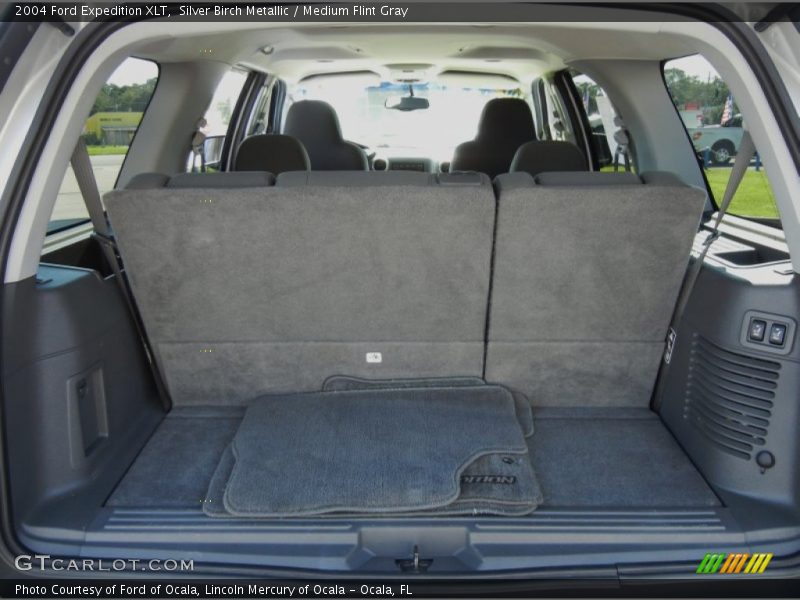 Silver Birch Metallic / Medium Flint Gray 2004 Ford Expedition XLT