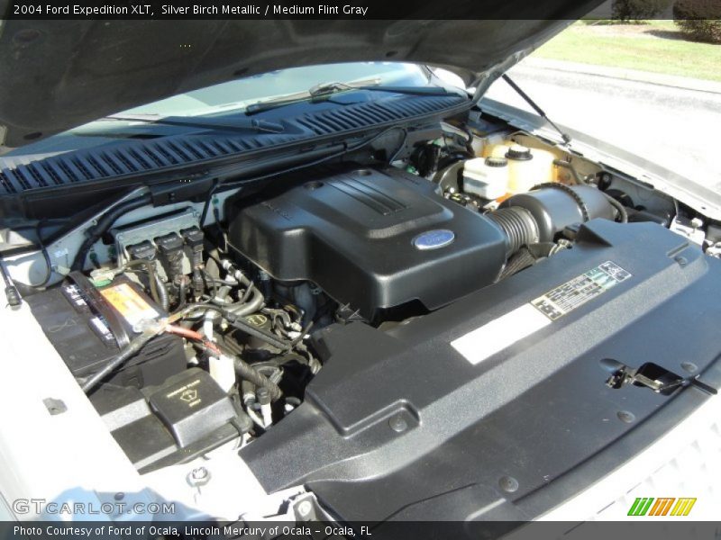 Silver Birch Metallic / Medium Flint Gray 2004 Ford Expedition XLT